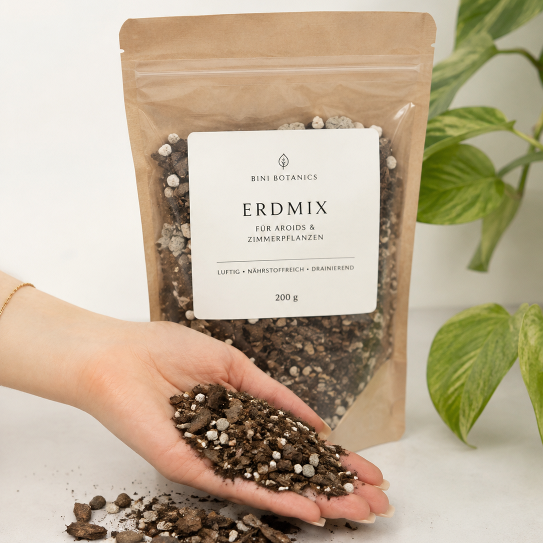 BiniBotanics’ Aroidmix