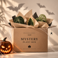 Mystery plant box