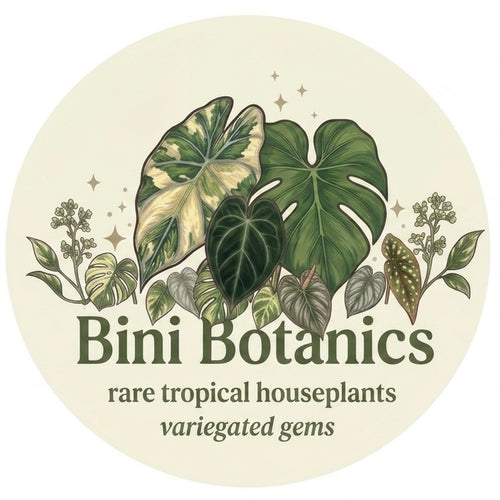 Bini Botanics